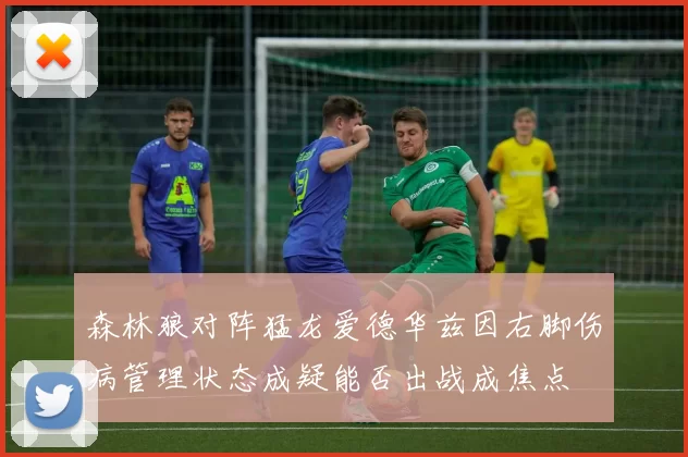 森林狼对阵猛龙爱德华兹因右脚伤病管理状态成疑能否出战成焦点